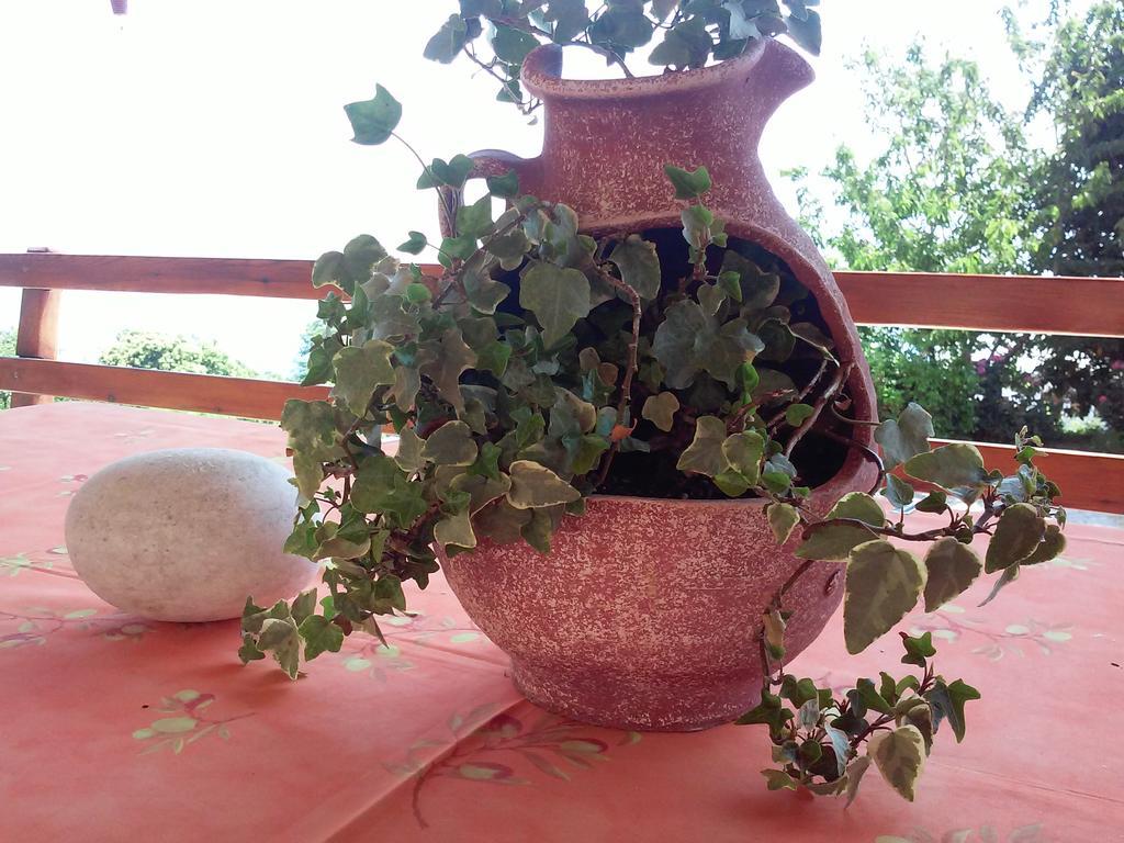 Alkmini Hotel Agios Dimitrios  Luaran gambar